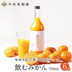 ショッピングジュース みかん ジュース 有田 無添加 ストレート 果汁100% 早和果樹園 飲むみかん 720ml×6本入  和歌山 お取り寄せ 健康