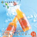 有田みかんサイダー24本 微炭酸 炭酸飲料 ジュース フルーツ 手土産 ご当地 和歌山 贈り物 夏 お中元 瓶 レトロ 手土産 大容量 爆買