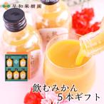 遅れてごめんね 母の日 ギフト ジュース 無添加 みかん プレゼント 花以外 ストレート 有田みかん 果汁100% 内祝 飲むみかん5本ギフトN お取り寄せ