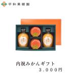 出産内祝い 写真入り お返し プレゼント みかん ジュース ゼリー 内祝い ギフト 3000円 無添加 結婚 快気 入学 有田 和歌山 早和果樹園