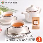 紅茶 ティーバッグ 果樹園のみかん紅茶 7包入×3個セット 国産 健康 有田みかんの皮 無添加 フルーツティー 無着色 送料無料 早和果樹園