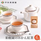 紅茶 ティーバッグ 果樹園のみかん紅茶 7包入×6個セット 国産 健康 有田みかんの皮 無添加 フルーツティー 無着色 送料無料 早和果樹園