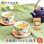 緑茶 ティーバッグ 果樹園のみかん緑茶 7包入×6個セット 国産 健康 有田みかんの皮 無添加 フルーツティー 無着色 送料無料 早和果樹園