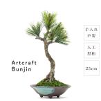 盆栽モダン黒松ArtcraftBu...