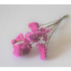  натуральный материалы кермек. сухой цветок ( розовый ) общая длина : примерно 20cm передний и задний (до и после) примерно 5шт.@1 пачка lease материалы dry материалы 