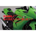 【完売御礼！】08'〜12' NINJAニンジャ250R エンジンプロテクター デイトナ