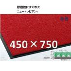 テラモト ニュートレビアンマット・450×750・赤
