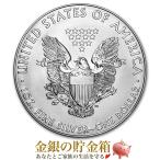 ショッピングアメリカンイーグル イーグル銀貨 1オンス 2012年製 クリアケース入り 純銀 コイン アメリカ造幣局発行