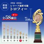 トロフィー　表彰用　記念品　Fサ