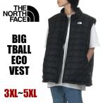 ショッピングノースフェイス ダウン ノースフェイス ダウンベスト メンズ USAモデル THE NORTH FACE 防寒 ビッグサイズ 大きいサイズ アウトドア ブランド 黒 3XL 4XL 5XL NF0A84K2