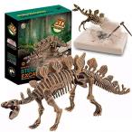 Dino Stegosaurus Dinosaur Skeleton 3D Fossil Bones Excavation Scienc ¹͢