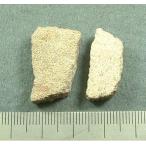 恐竜の卵（サルタザウルス）の化石2024