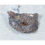 Amber(琥珀)山口県宇部炭田6891