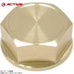 ACTIVE активный 13600063 с откидным верхом вынос руля комплект для гайка Gold ZEPHYR1100/RS