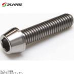 GALE SPEED Gale Speed SC0610025 titanium конус болт M6xP1.0 25mm(L)