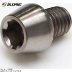 GALE SPEED Gale Speed SC0812510 titanium конус болт M8xP1.25 10mm(L)