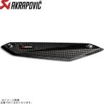 AKRAPOVIC Akrapovic P-HSB9SO1 дополнительный нагрев защита карбоновый BMW F900R/XR 20-23