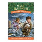 [ иностранная книга ] легенда. огромный Hurricane [ Mary -* Poe p* oz bo-n/ иллюстрации :AG Ford ] Hurricane Heroes in Texas