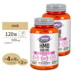 HMB 500mg 120カプセル 2個セット