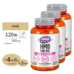 HMB 500mg 120カプセル 3個セット