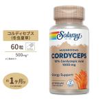 ソラレー 冬虫夏草エキス 500mg カプセル 60粒 Solaray Cordyceps Extract VegCap サプリ 健康 アメリカ