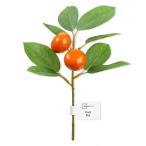 ваш заказ [woru mart бренд ] основной стойка z поддельный Mini фрукты pick orange примерно 16×25cm Mainstays Artificial Mini