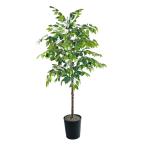  ваш заказ [woru mart бренд ] основной стойка z человеческий труд fi rental tree примерно 183cm черный en Boss metal горшок Mainstays Artificial Tre