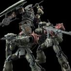HG 1/144 ザクII F型 チャブス機 & ケイル機 + 無識別型ザクII ソラリ機 再現パーツセット