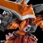 機動戦士ガンダムSEED DESTINY MG ブレイズザクファントム（ハイネ