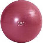 アルインコ ALINCO エクササイズボール30cm レッド バランスボール エクササイズ フィットネス トレーニングボール ストレッチ 健康 ダイエット 宅ト
