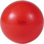 ダンノ DANNO ギムニクカラーボール55 レッド 赤 ギムニク ギムニクボール バランスボール ながら運動 バランストレーニング 体幹トレーニング 体幹 筋トレ  D