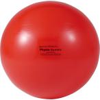 ダンノ DANNO ギムニクカラーボール85 赤 レッド ギムニク ギムニクボール バランスボール ながら運動 バランストレーニング 体幹トレーニング 体幹 筋トレ D