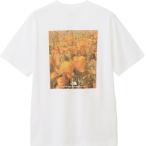 ザ・ノース・フェイス