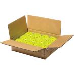  Frank Lynn Franklin X 40 pick ru мяч 12 штук X-40 Pickleball Optic 12Pack Box сырой . спорт игра с мячом мяч наружный для USAPA легализация 52828X