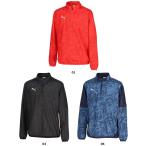 プーマ PUMA チームカップ ピステ TEAMCUP PISTE トップ メンズ 男性 大人 トップス ハーフジップ ロングスリーブ 長袖 トレーニング 練習 クラブ 部活 66010