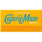 カロリーメイト CalorieMate カロリーメイト ブロック バニラ味 2本入×20箱 ボディーケア ボディケア食品 サプリメント 部活 トレーニング フィットネス 6490