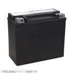 ハーレーダビッドソン HD66000207A シールド型 バッテリー