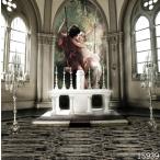 [1/6Doll* Neo Blythe для ][20cmDoll* midi Blythe для ] фон ткань ( готический aru брезент нижний /134)