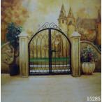 [1/6Doll* Neo Blythe для ][20cmDoll* midi Blythe для ] фон ткань ( классический дворец торцевая дверь /6)