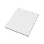 アイリスオーヤマ 空気清浄機 MSAP-DC100 対応 交換用 集塵用 HEPA フィルター 25畳 PMMS-DCHF ホワイト