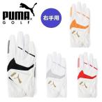  Puma Golf перчатка Alpha рукоятка перчатка правый рука для мужской PUMA Golf 041878 [ почтовая доставка рассылка ]