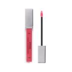 ETVOS エトヴォス ミネラルリッププランパー シアー リップ 口紅 ルージュ 高発色 保湿 エトボス