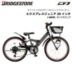 ショッピング店頭受取 子供用自転車 ブリヂストン エクスプレスジュニア 20インチ EXJ05 ダイナモランプ ブリジストン
