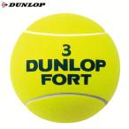 DUNLOP Dunlop теннис мяч JUMBO BALL jumbo мяч сувенир украшение 