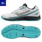  теннис обувь ковровое покрытие для мужской женский Mizuno break Schott 4 CS 61GR2342