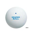  Kenko soft теннис мяч тренировка лампочка стандартный белый TSSW-V 6ON8101 для софтбола теннис мяч тренировка лампочка 6ON8101
