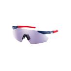 スワンズ(SWANS) サングラス GULLWING FLE