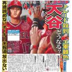 スポーツニッポン東京最終7月25日付特報版