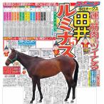 スポーツニッポン東京最終版5月24日付（宅配）