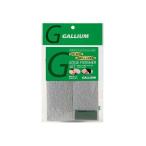 ガリウム GALLIUM スキー スノーボー